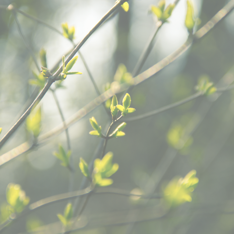 Spring Statement 2022